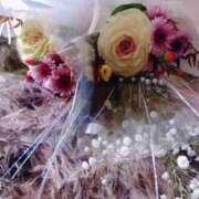 ヒメ日記 2025/12/31 14:48 投稿 イロハ秘書 秘書の品格 クラブアッシュ ヴァリエ