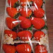 ヒメ日記 2026/01/15 09:09 投稿 イロハ秘書 秘書の品格 クラブアッシュ ヴァリエ