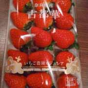 ヒメ日記 2026/01/15 09:28 投稿 イロハ秘書 秘書の品格 クラブアッシュ ヴァリエ