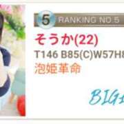 そうか ごほうこく バイオレンス