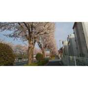 ヒメ日記 2026/03/30 06:05 投稿 そうか バイオレンス