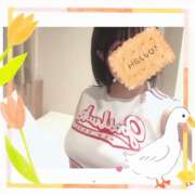 ヒメ日記 2025/01/26 12:26 投稿 きい プレジデントオアシス