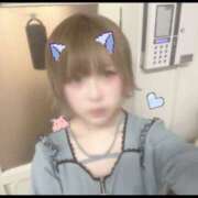 ヒメ日記 2025/08/15 15:11 投稿 めろ かりんと秋葉原