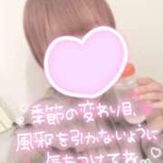 ヒメ日記 2025/09/30 11:23 投稿 めろ かりんと秋葉原