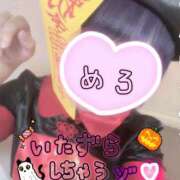 ヒメ日記 2025/10/31 15:26 投稿 めろ かりんと秋葉原