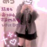 めろ ブラックフライデーってなに？( '꒳' ) かりんと秋葉原