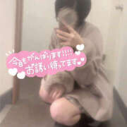 ヒメ日記 2025/12/10 12:41 投稿 めろ かりんと秋葉原