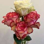 ヒメ日記 2025/08/14 16:02 投稿 福田瑞来 (ふくだみずき) 東京ヒストリー　秘密の約束