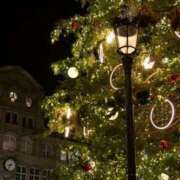 ヒメ日記 2025/11/19 17:32 投稿 福田瑞来 (ふくだみずき) 東京ヒストリー　秘密の約束