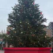 ヒメ日記 2025/12/25 14:12 投稿 福田瑞来 (ふくだみずき) 東京ヒストリー　秘密の約束