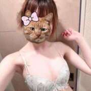 ヒメ日記 2025/07/18 12:26 投稿 さな 横浜ひよこ倶楽部