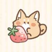 ヒメ日記 2025/07/19 12:11 投稿 さな 横浜ひよこ倶楽部