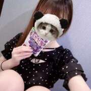 ヒメ日記 2025/07/29 17:46 投稿 さな 横浜ひよこ倶楽部