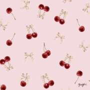 ヒメ日記 2025/12/23 00:56 投稿 さな 横浜ひよこ倶楽部