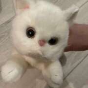 ヒメ日記 2025/07/13 19:40 投稿 むぎの【最高級S級天使】 STELLA TOKYO－ステラトウキョウ－