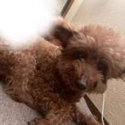 ヒメ日記 2025/10/23 15:35 投稿 むぎの【最高級S級天使】 STELLA TOKYO－ステラトウキョウ－