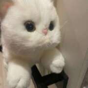 むぎの【最高級S級天使】 今日もありがとう🥺 STELLA TOKYO－ステラトウキョウ－