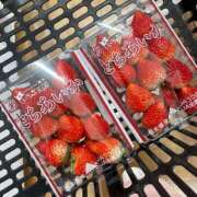 ヒメ日記 2026/02/04 16:57 投稿 むぎの【最高級S級天使】 STELLA TOKYO－ステラトウキョウ－