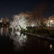 ヒメ日記 2026/04/04 16:43 投稿 むぎの【最高級S級天使】 STELLA TOKYO－ステラトウキョウ－