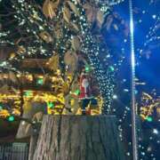 ヒメ日記 2025/12/02 22:22 投稿 涼宮なな 渋谷ガーデン