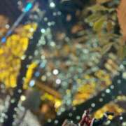 ヒメ日記 2025/12/10 16:42 投稿 涼宮なな 渋谷ガーデン