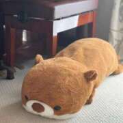 ヒメ日記 2026/01/06 16:22 投稿 涼宮なな 渋谷ガーデン