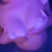 ヒメ日記 2026/08/29 22:02 投稿 涼宮なな 渋谷ガーデン