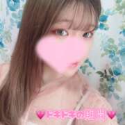 ヒメ日記 2026/09/08 14:41 投稿 涼宮なな 渋谷ガーデン