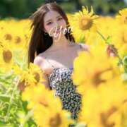 ヒメ日記 2025/08/05 22:26 投稿 比留川 ゆう 白夜