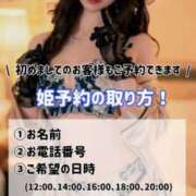 ヒメ日記 2025/10/24 06:08 投稿 比留川 ゆう 白夜