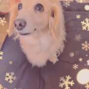 堤(つつみ) 大事なお知らせ🌸 モアグループ西川口人妻城