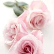 ヒメ日記 2025/07/14 11:35 投稿 恵里菜(えりな) グランドオペラ横浜