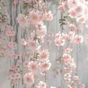 ヒメ日記 2025/08/07 11:22 投稿 恵里菜(えりな) グランドオペラ横浜