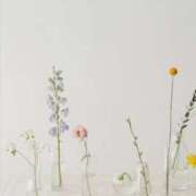 ヒメ日記 2025/08/26 01:11 投稿 恵里菜(えりな) グランドオペラ横浜