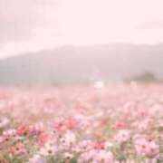 ヒメ日記 2025/09/02 09:41 投稿 恵里菜(えりな) グランドオペラ横浜