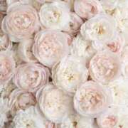 ヒメ日記 2026/04/02 00:41 投稿 恵里菜(えりな) グランドオペラ横浜