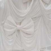 ヒメ日記 2026/04/23 01:11 投稿 恵里菜(えりな) グランドオペラ横浜