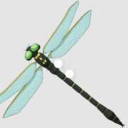 ヒメ日記 2025/10/09 11:49 投稿 もみじ 船橋桃色の妻たち