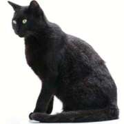 ヒメ日記 2025/10/19 10:39 投稿 もみじ 船橋桃色の妻たち