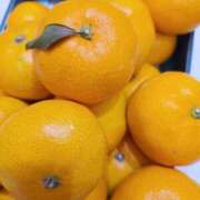 ヒメ日記 2025/11/26 13:29 投稿 もみじ 船橋桃色の妻たち