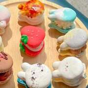 ヒメ日記 2025/12/19 11:29 投稿 もみじ 船橋桃色の妻たち