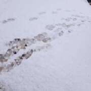 ヒメ日記 2026/02/08 11:39 投稿 もみじ 船橋桃色の妻たち