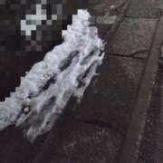 ヒメ日記 2026/02/08 17:09 投稿 もみじ 船橋桃色の妻たち