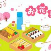 ヒメ日記 2026/03/14 11:59 投稿 もみじ 船橋桃色の妻たち