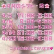 ヒメ日記 2026/04/02 19:22 投稿 めぐ Charme（シャルム）