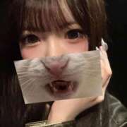 ヒメ日記 2026/02/10 23:48 投稿 もか【シルバーアロー】 Arrows 苫小牧・千歳店