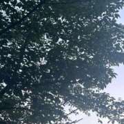 ヒメ日記 2025/07/10 07:08 投稿 あきら 京都回春性感マッサージ倶楽部