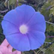 ヒメ日記 2025/08/09 23:38 投稿 あきら 京都回春性感マッサージ倶楽部