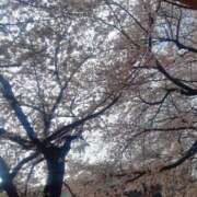 ヒメ日記 2026/03/30 10:00 投稿 ひいろ 綺麗なお姉様専門　町田リング4C（アンジェリークグループ）