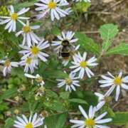 ヒメ日記 2025/09/20 14:59 投稿 ROBIN TALL